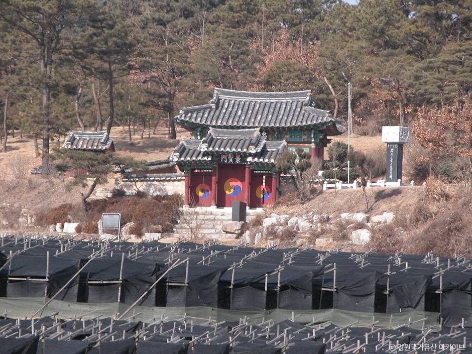 황무진충효사 여행 추천 - 메고지고 황무진충효사 여행 추천 - 메고지고