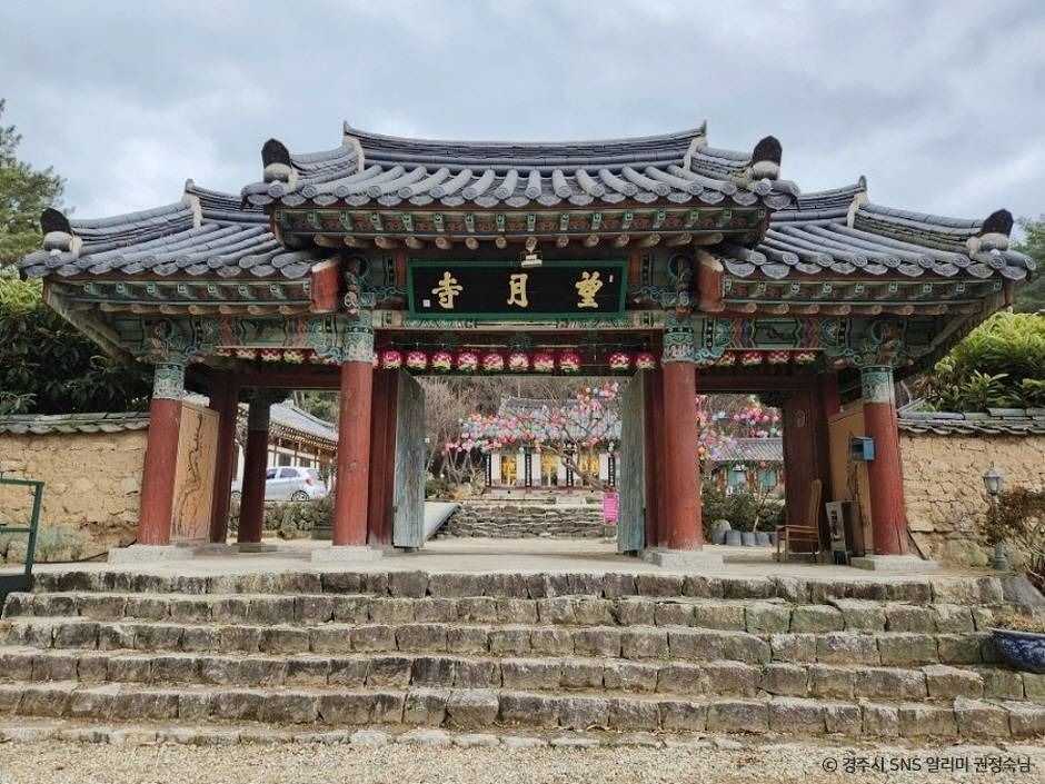 망월사(경주) 여행 추천 - 메고지고