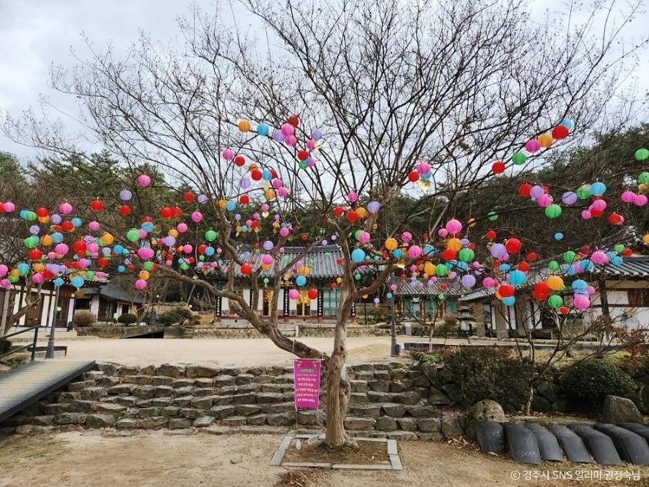 망월사(경주) 여행 추천 - 메고지고
