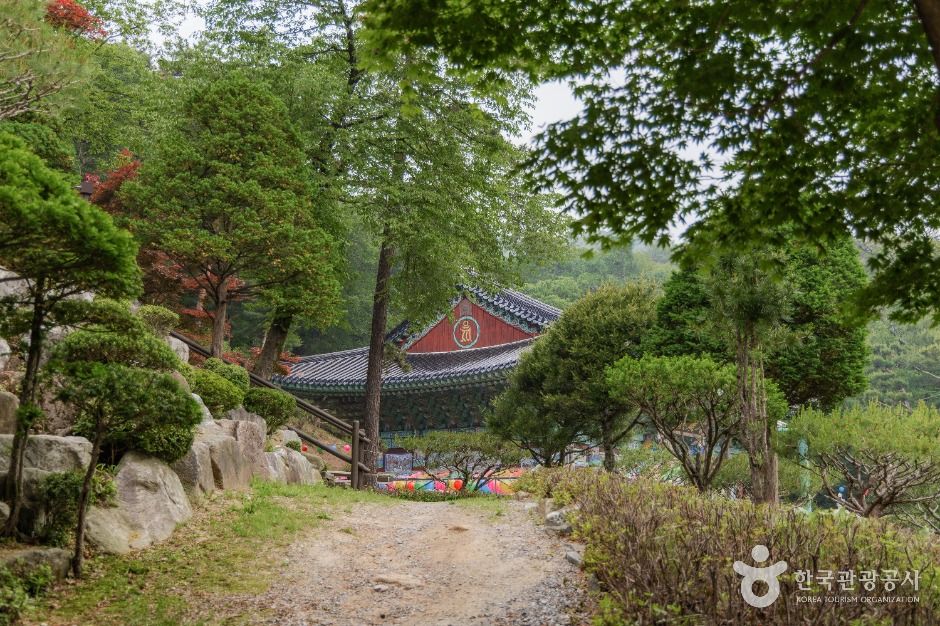 보광사(강북) 여행 추천 - 메고지고 보광사(강북) 여행 추천 - 메고지고