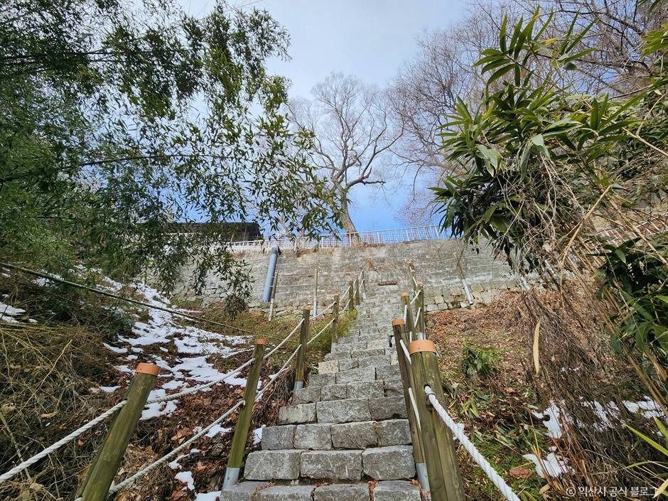 사자사(사자암) 여행 추천 - 메고지고 사자사(사자암) 여행 추천 - 메고지고