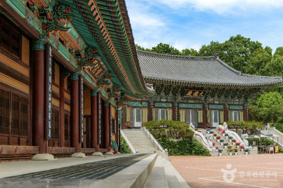 영화사(서울) 여행 추천 - 메고지고 영화사(서울) 여행 추천 - 메고지고
