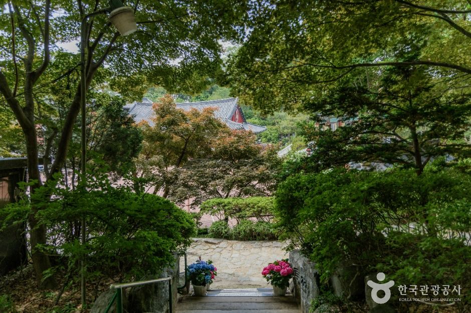 영화사(서울) 여행 추천 - 메고지고 영화사(서울) 여행 추천 - 메고지고