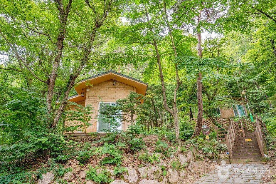 옥성자연휴양림 여행 추천 - 메고지고 옥성자연휴양림 여행 추천 - 메고지고