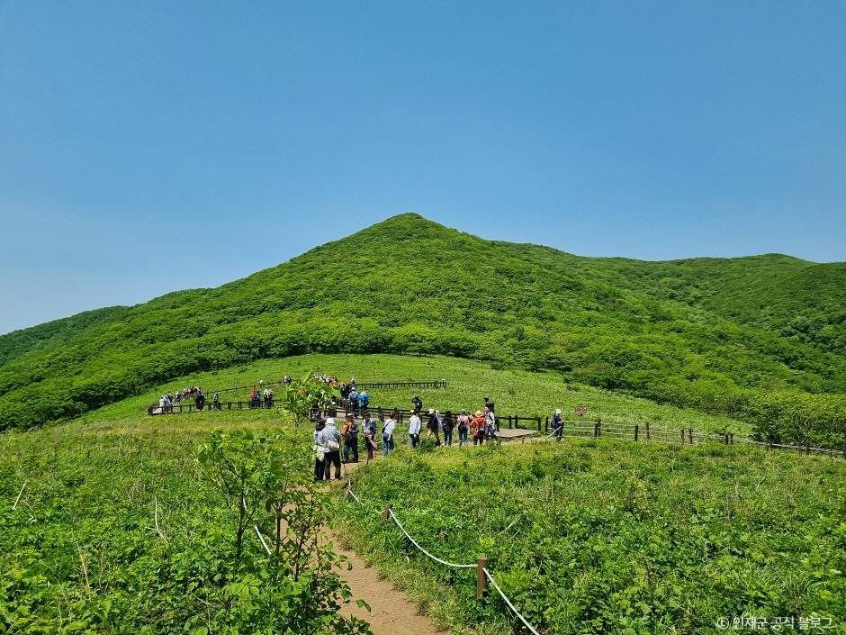 점봉산 곰배령 여행 추천 - 메고지고 점봉산 곰배령 여행 추천 - 메고지고
