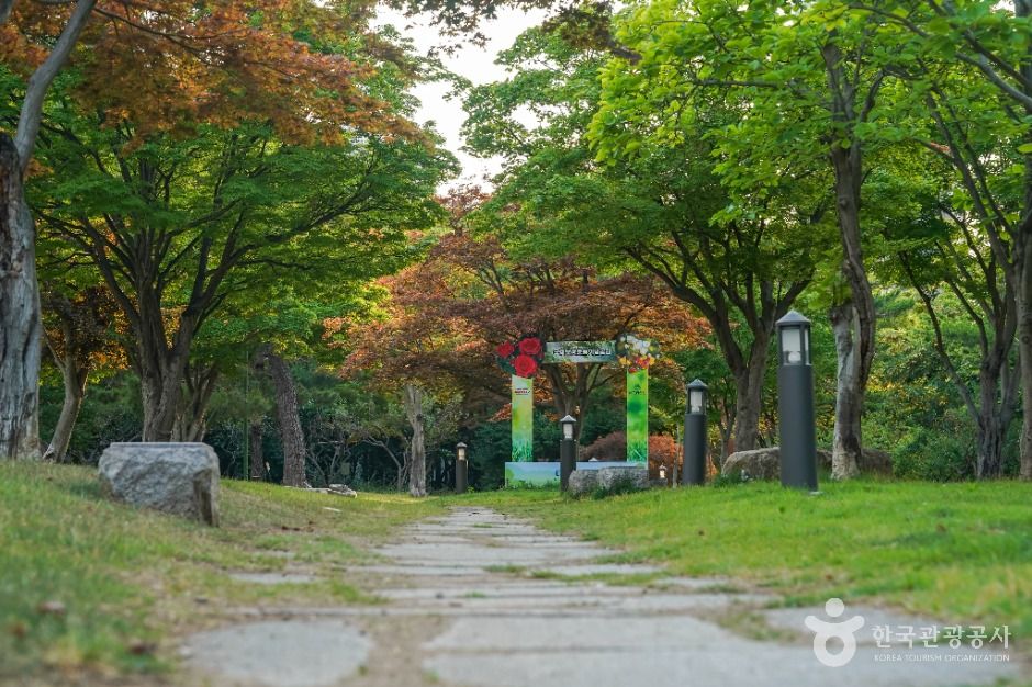 국채보상운동기념공원 여행 추천 - 메고지고 국채보상운동기념공원 여행 추천 - 메고지고
