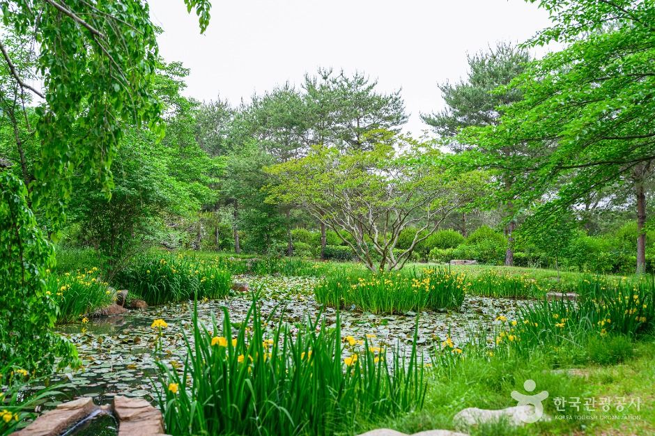 경상북도 산림환경연구원 여행 추천 - 메고지고 경상북도 산림환경연구원 여행 추천 - 메고지고