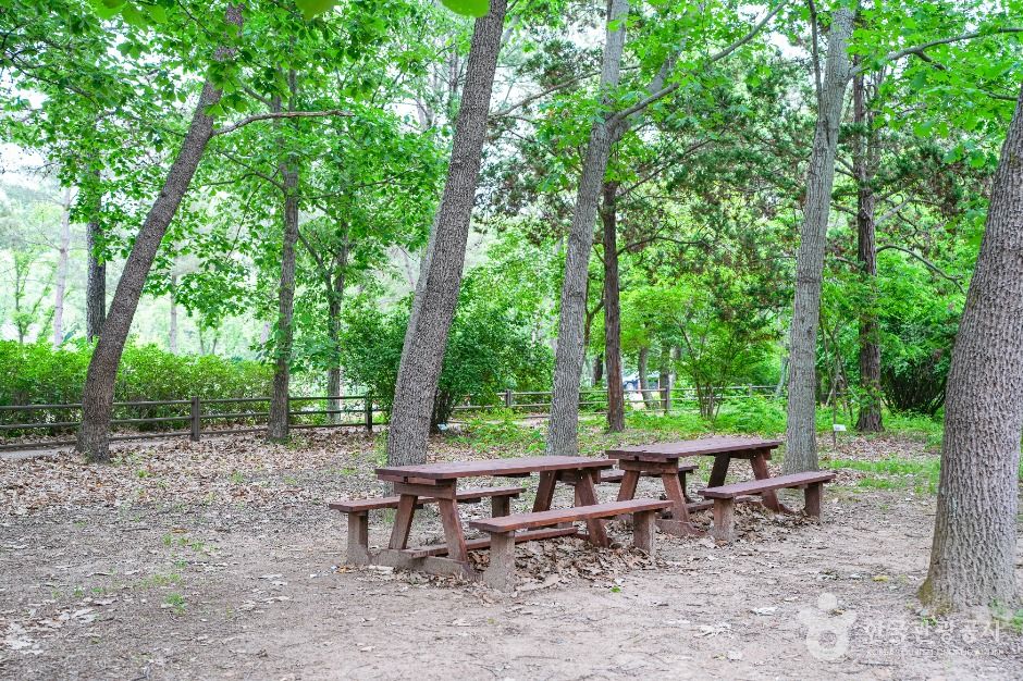 경상북도 산림환경연구원 여행 추천 - 메고지고 경상북도 산림환경연구원 여행 추천 - 메고지고