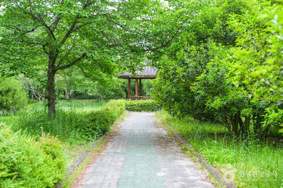 경상북도 산림환경연구원 여행 추천 - 메고지고 경상북도 산림환경연구원 여행 추천 - 메고지고