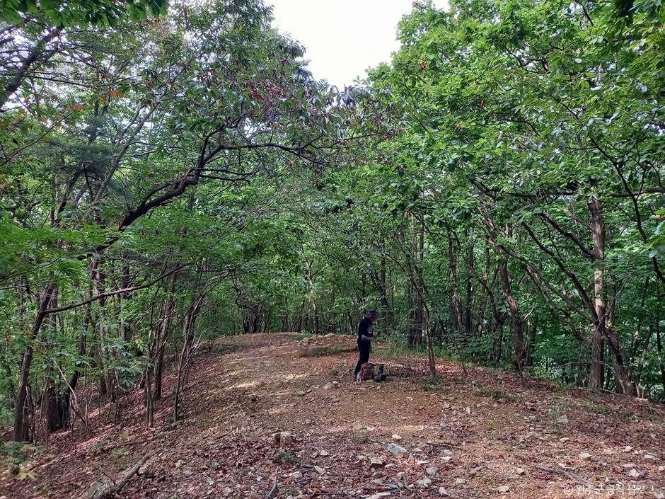 만덕산 여행 추천 - 메고지고 만덕산 여행 추천 - 메고지고