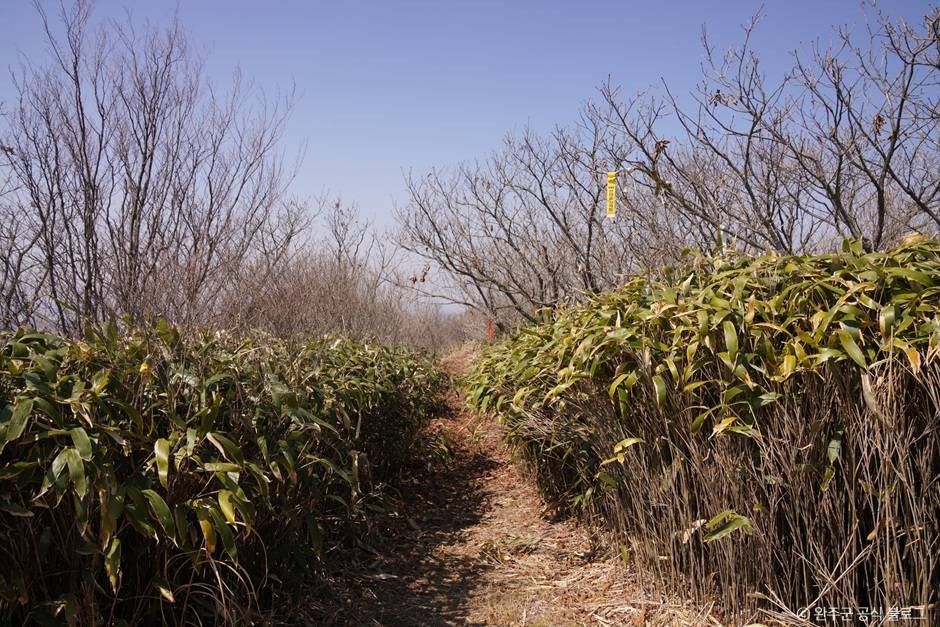 연석산 여행 추천 - 메고지고 연석산 여행 추천 - 메고지고