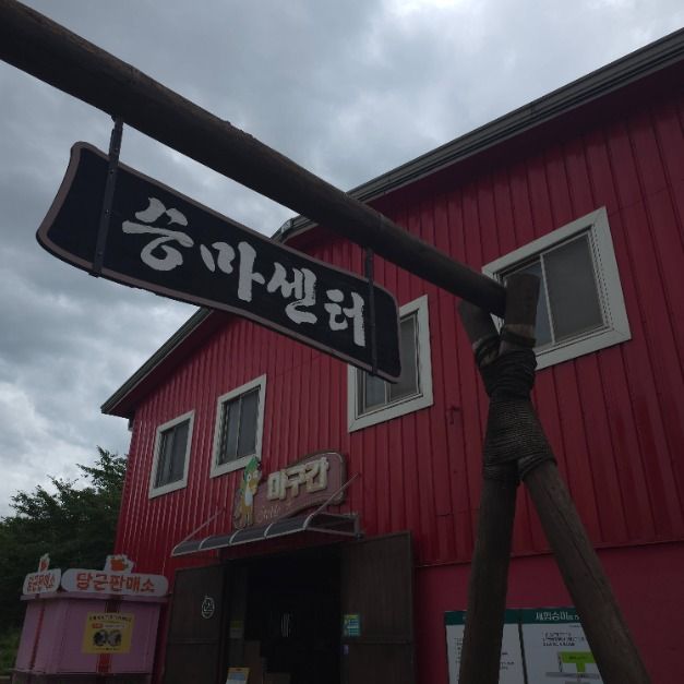 안성팜랜드 승마센터 여행 추천 - 메고지고