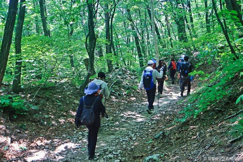 [강릉 바우길 2구간] 대관령 옛길 여행 추천 - 메고지고