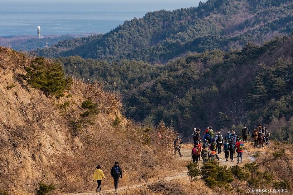 [강릉 바우길 4구간] 사천 둑방길 여행 추천 - 메고지고