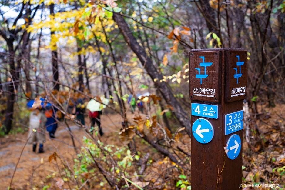 [강릉 바우길 4구간] 사천 둑방길 여행 추천 - 메고지고