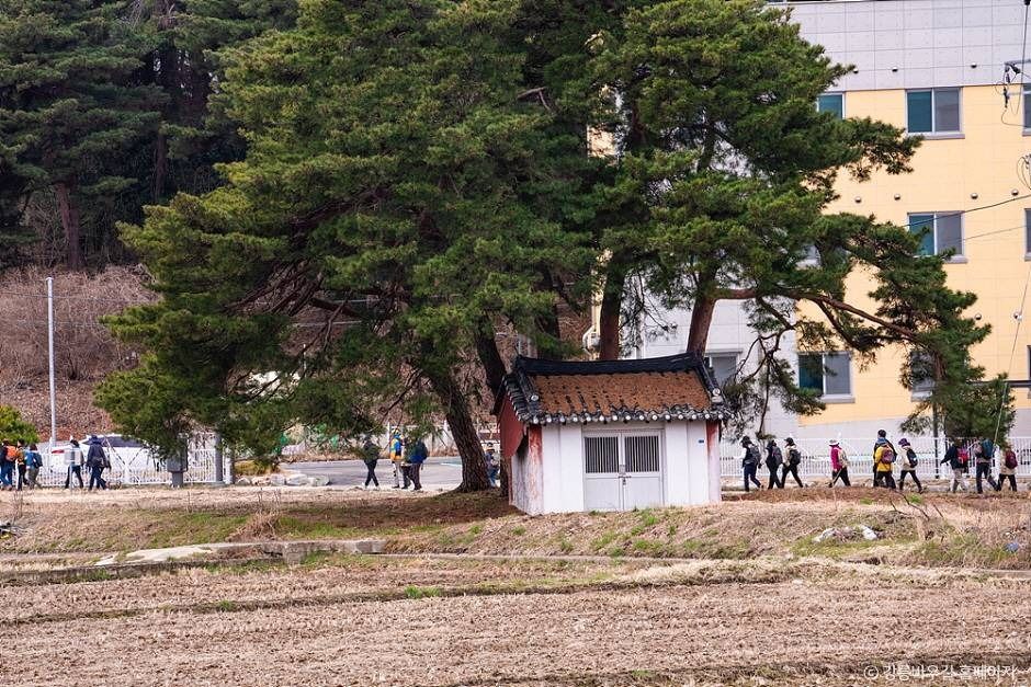 [해파랑길] 38코스(바우길 6구간) 여행 추천 - 메고지고
