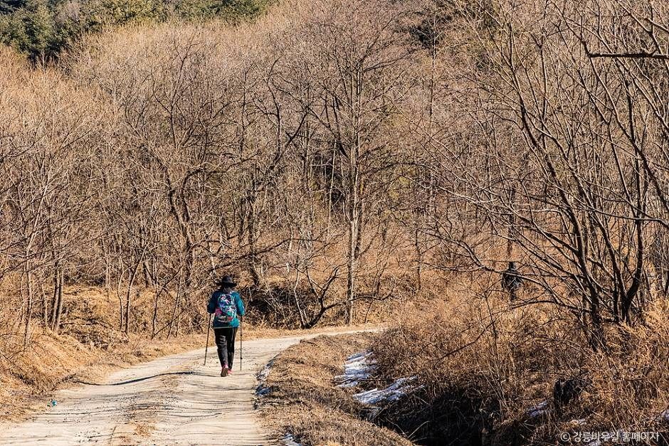 [강릉 바우길 10구간] 심스테파노 길 여행 추천 - 메고지고
