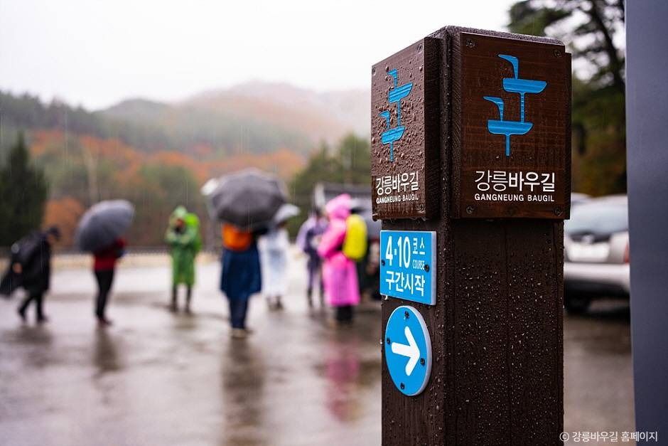 [강릉 바우길 10구간] 심스테파노 길 여행 추천 - 메고지고