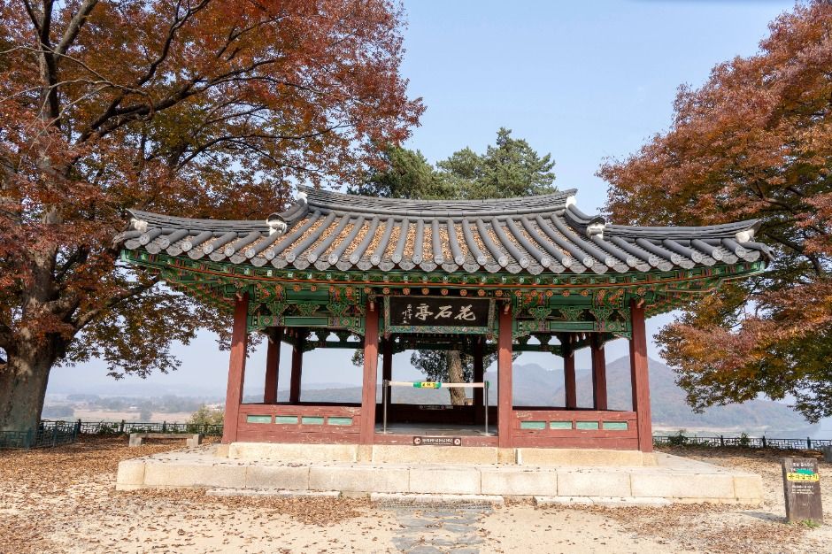 [평화누리길 8코스] 반구정길 여행 추천 - 메고지고