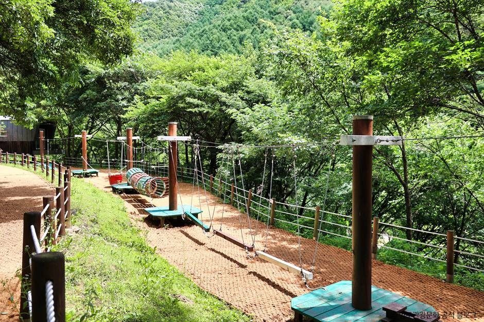 광치자연휴양림 여행 추천 - 메고지고