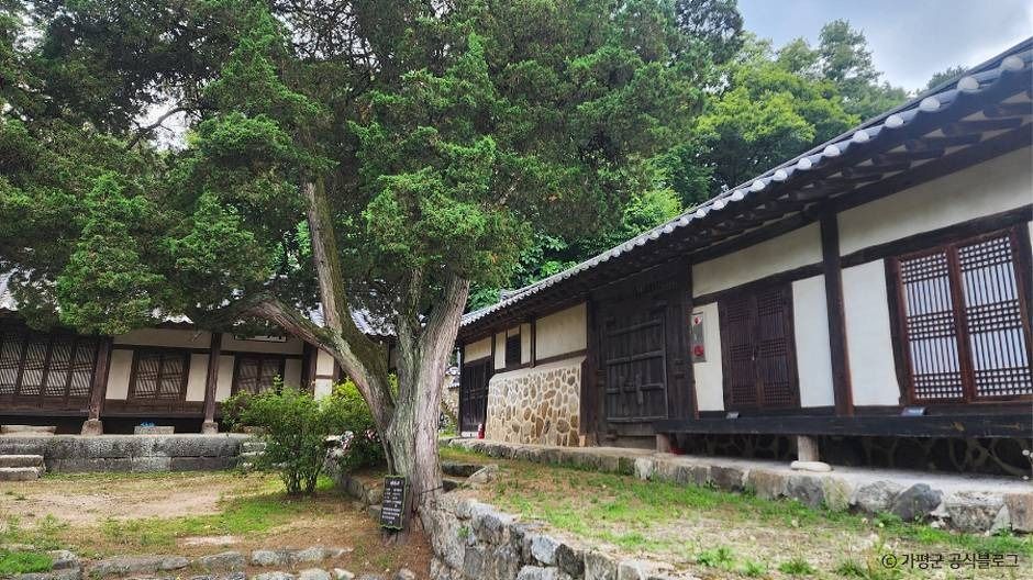 이천보고가 여행 추천 - 메고지고 이천보고가 여행 추천 - 메고지고