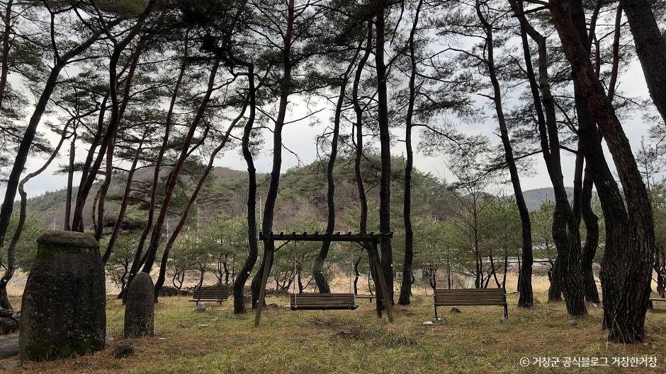 장풍숲 여행 추천 - 메고지고 장풍숲 여행 추천 - 메고지고