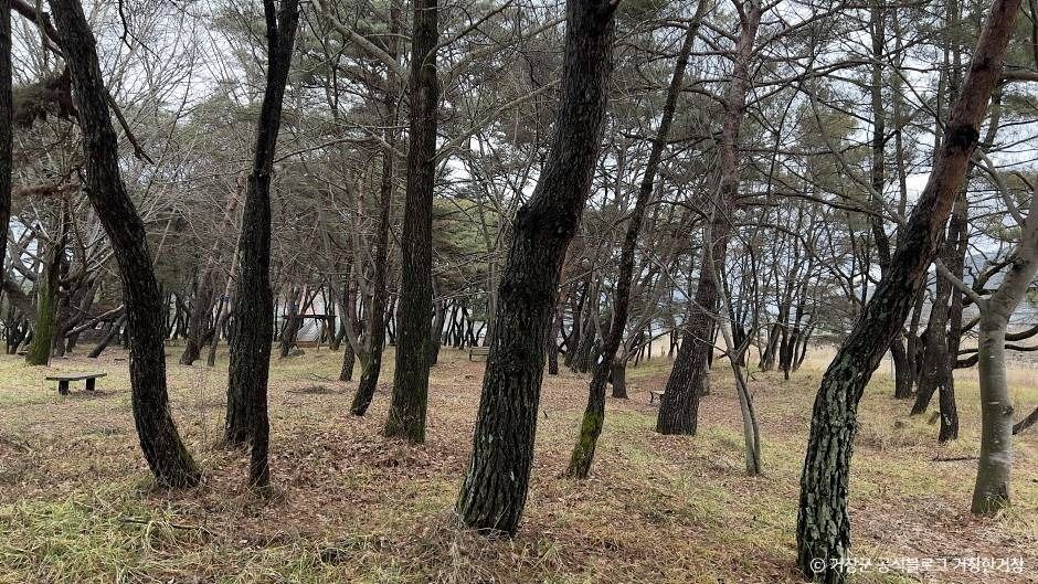 장풍숲 여행 추천 - 메고지고 장풍숲 여행 추천 - 메고지고