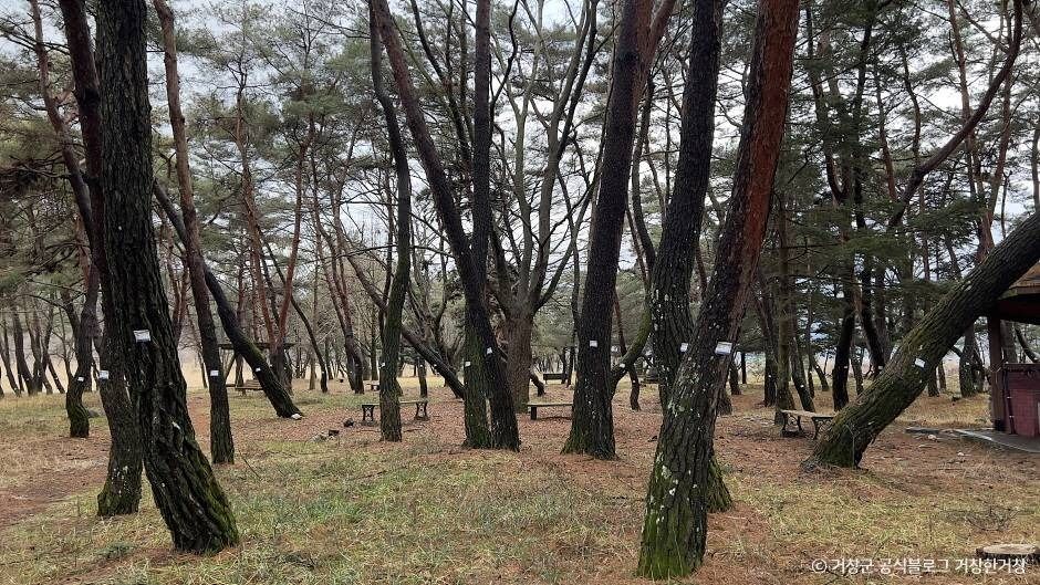 장풍숲 여행 추천 - 메고지고 장풍숲 여행 추천 - 메고지고