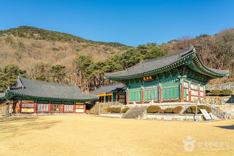 수도암(대구) 여행 추천 - 메고지고 수도암(대구) 여행 추천 - 메고지고