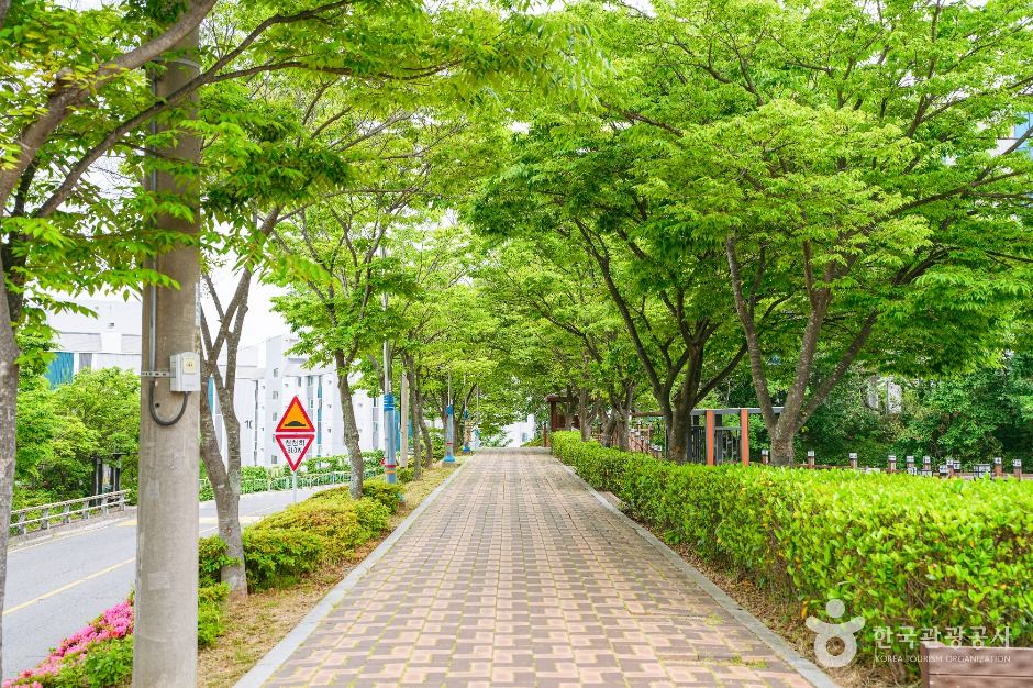 성안숯못생태공원 여행 추천 - 메고지고 성안숯못생태공원 여행 추천 - 메고지고
