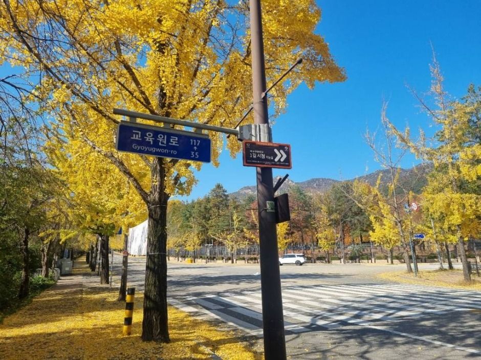 [경기옛길 삼남길 제1길] 한양관문길 여행 추천 - 메고지고