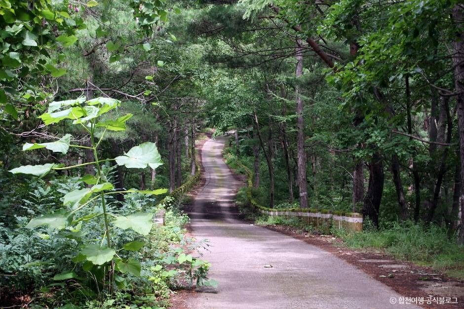 오도산 여행 추천 - 메고지고