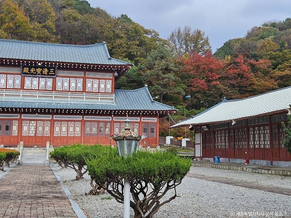 금강대도 여행 추천 - 메고지고 금강대도 여행 추천 - 메고지고