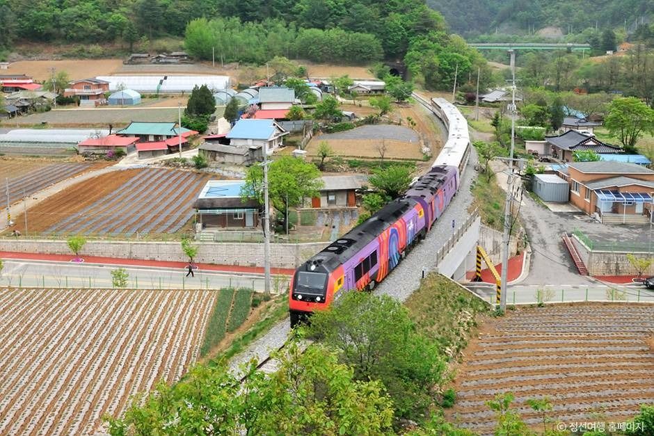 정선아리랑열차(A-train) 여행 추천 - 메고지고