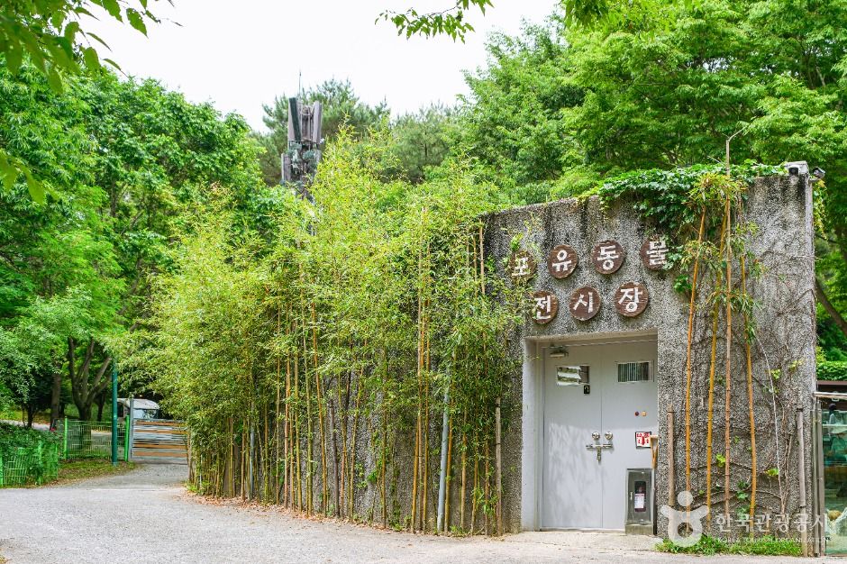 울산대공원 동물원 여행 추천 - 메고지고 울산대공원 동물원 여행 추천 - 메고지고