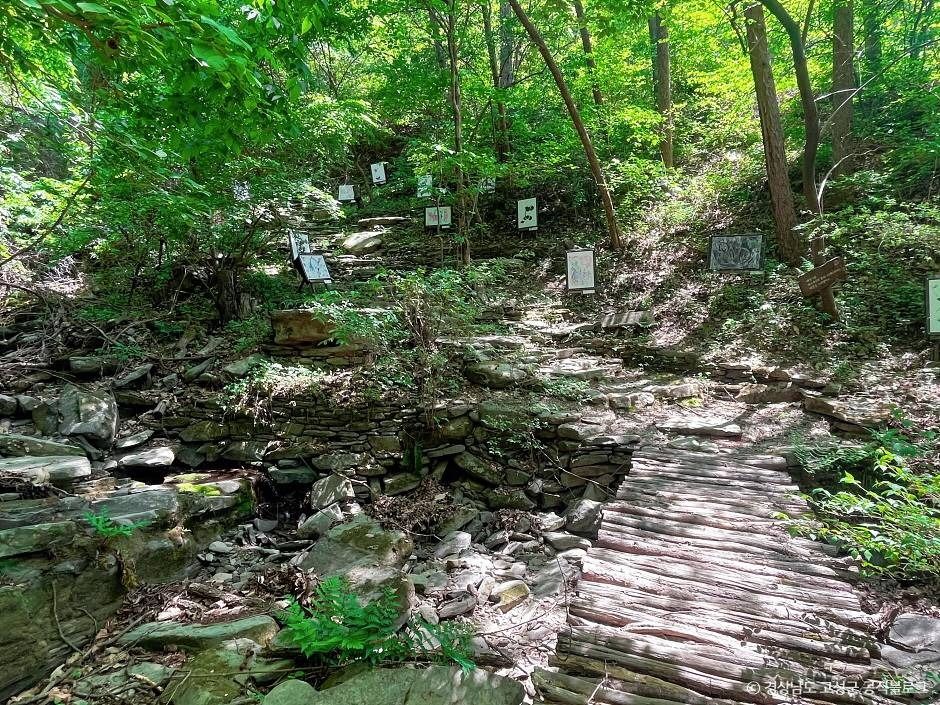 오두산 치유숲 여행 추천 - 메고지고
