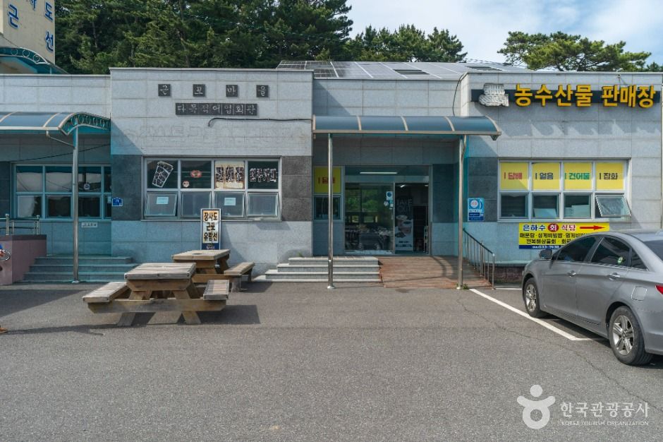 거제장사도유람선 여행 추천 - 메고지고 거제장사도유람선 여행 추천 - 메고지고