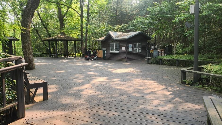 관악산 무장애숲길 여행 추천 - 메고지고 관악산 무장애숲길 여행 추천 - 메고지고