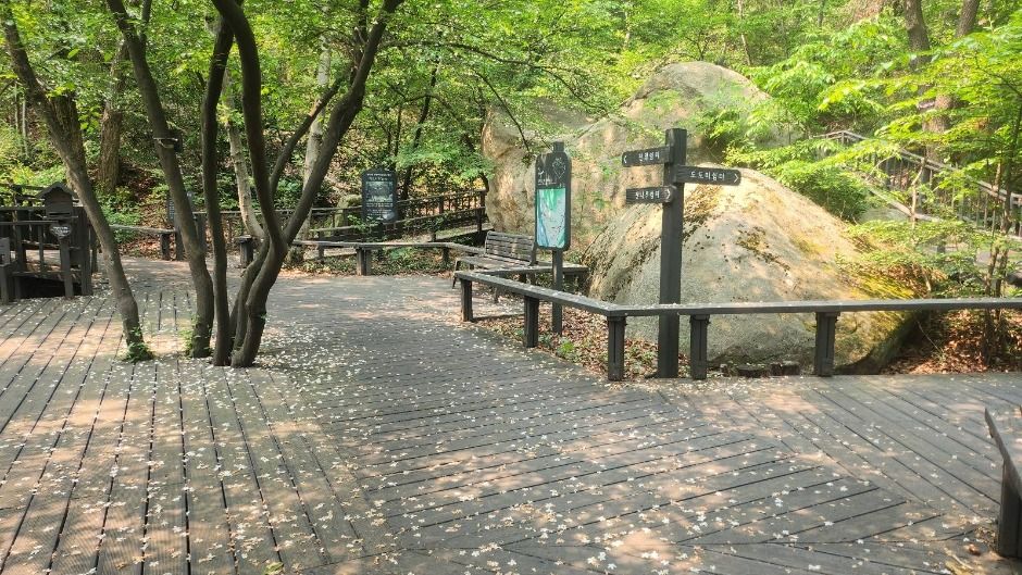 관악산 무장애숲길 여행 추천 - 메고지고 관악산 무장애숲길 여행 추천 - 메고지고