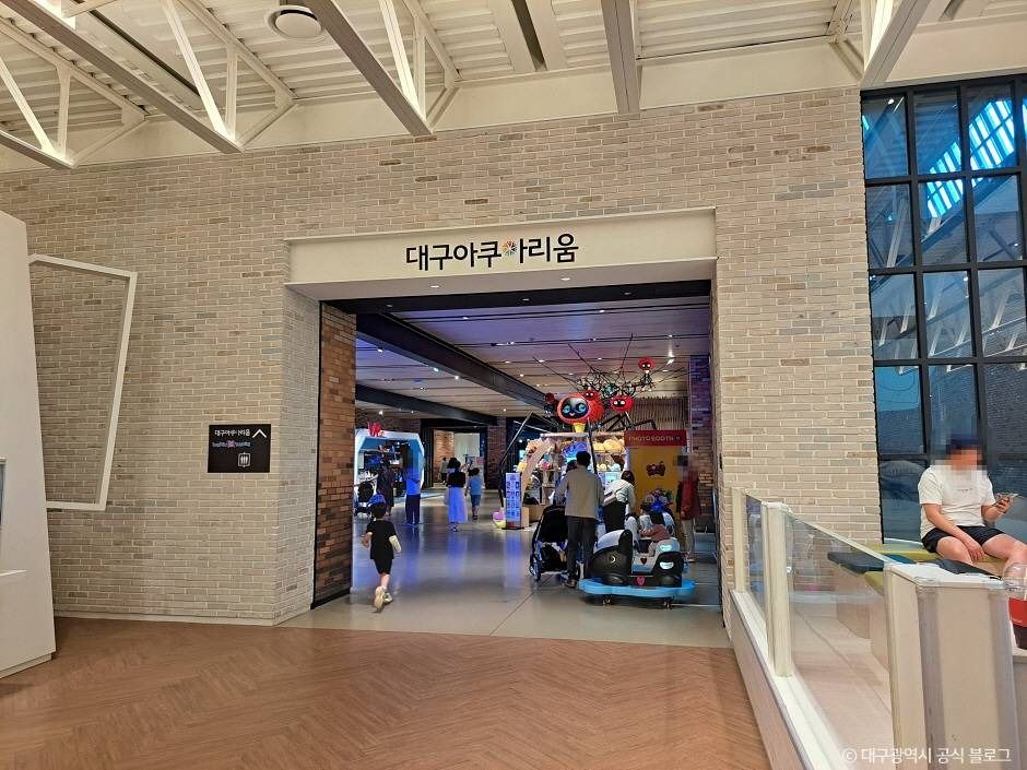 대구 아쿠아리움 여행 추천 - 메고지고