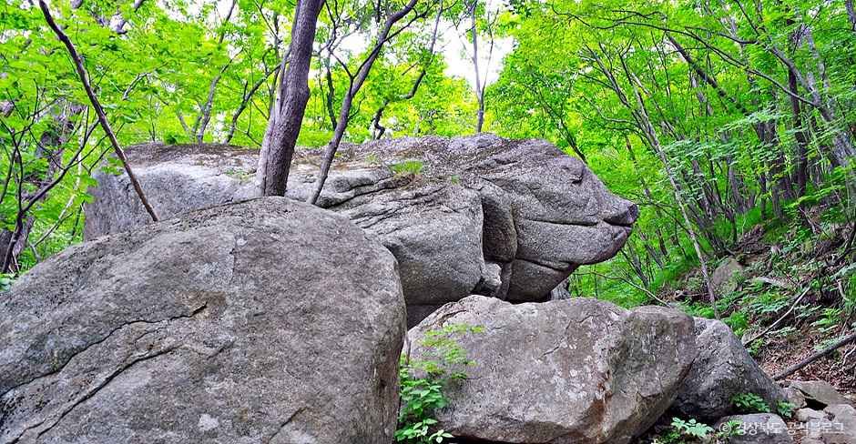 소백산 국망봉 돼지바위 여행 추천 - 메고지고 소백산 국망봉 돼지바위 여행 추천 - 메고지고