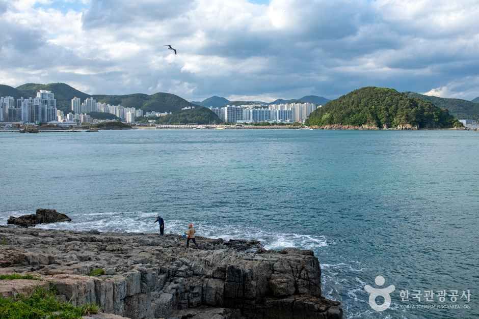 몰운대(부산) 여행 추천 - 메고지고 몰운대(부산) 여행 추천 - 메고지고