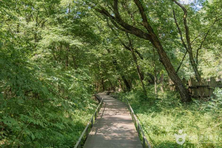광릉숲길 여행 추천 - 메고지고 광릉숲길 여행 추천 - 메고지고