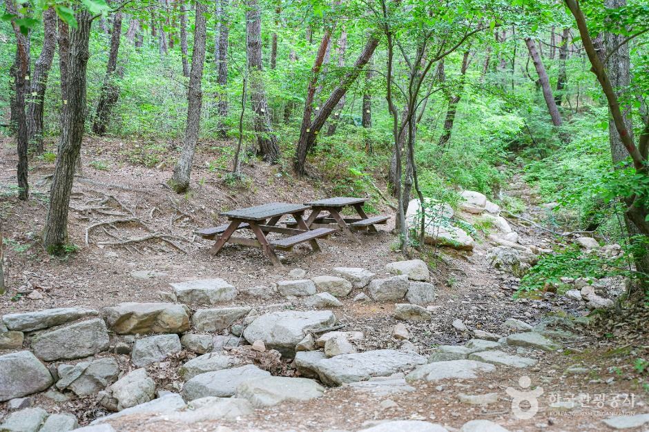 북구 편백산림욕장 여행 추천 - 메고지고 북구 편백산림욕장 여행 추천 - 메고지고