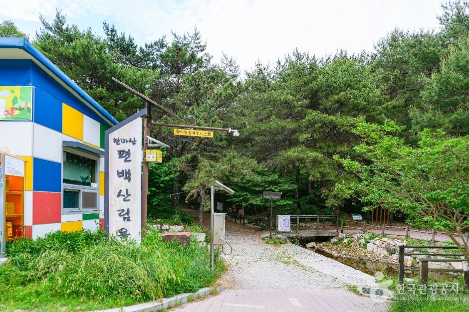 북구 편백산림욕장 여행 추천 - 메고지고 북구 편백산림욕장 여행 추천 - 메고지고