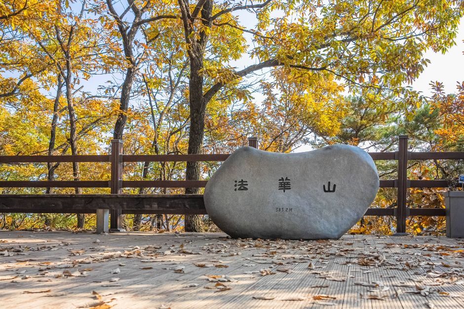 법화산 여행 추천 - 메고지고 법화산 여행 추천 - 메고지고