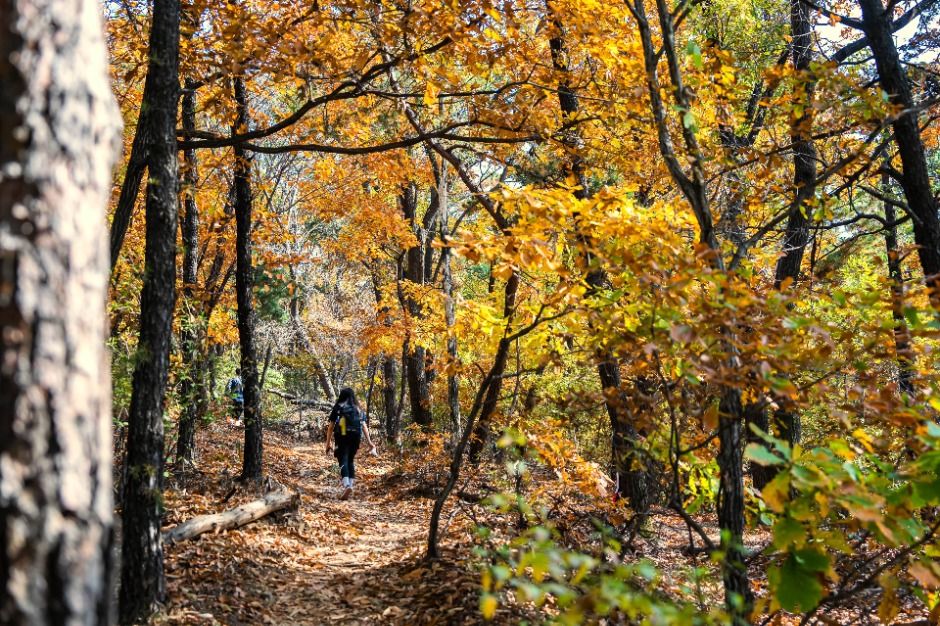 법화산 여행 추천 - 메고지고 법화산 여행 추천 - 메고지고