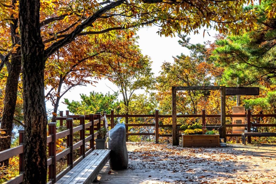 법화산 여행 추천 - 메고지고 법화산 여행 추천 - 메고지고