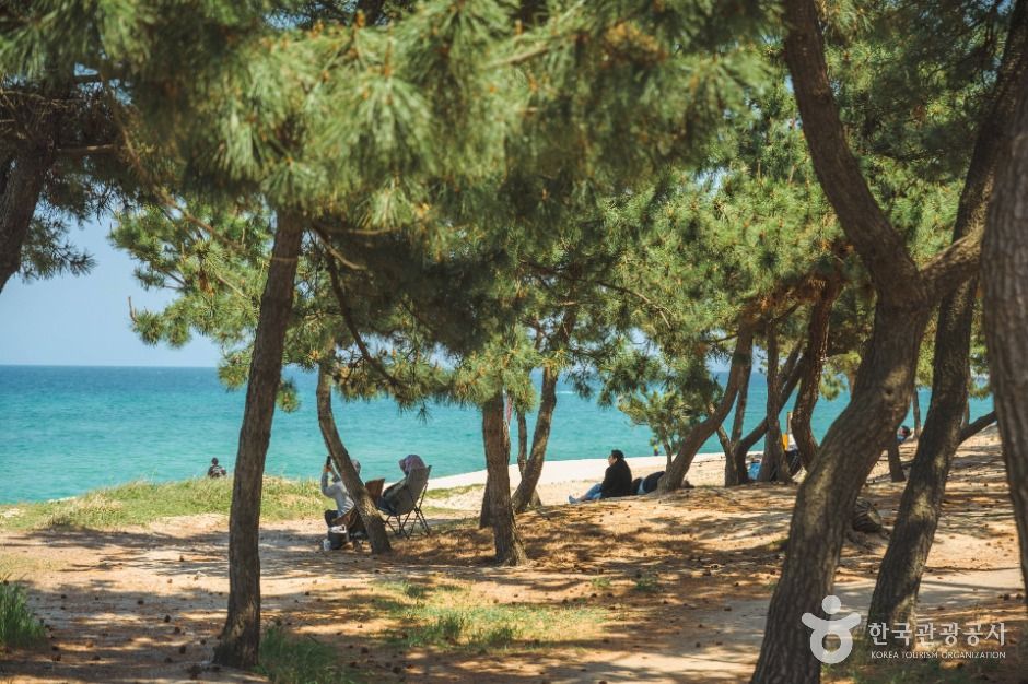 [해파랑길] 39코스(바우길 05구간) 여행 추천 - 메고지고