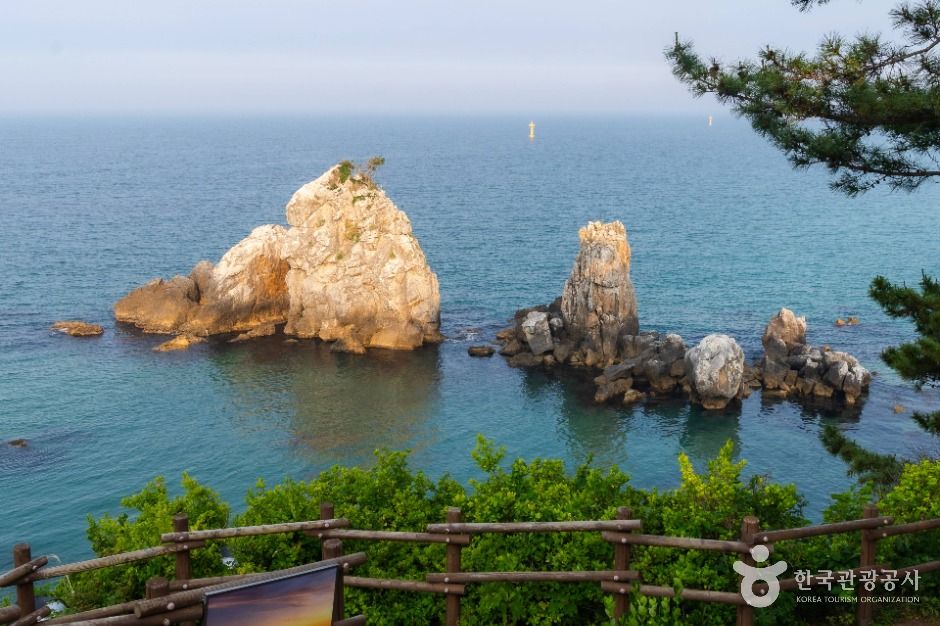 [해파랑길] 33코스 여행 추천 - 메고지고
